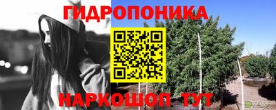 дурь Будённовск