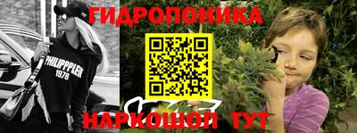 дурь Будённовск