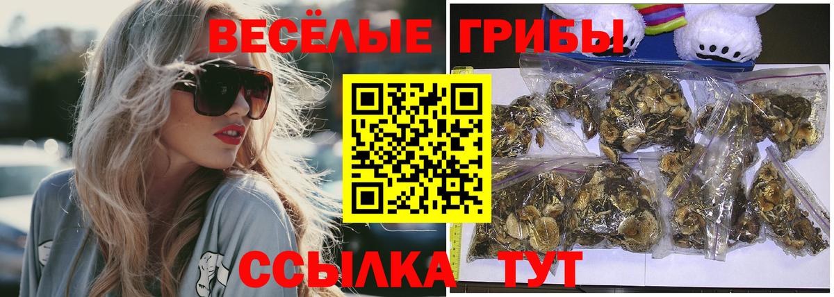 Галлюциногенные грибы Cubensis  Псилоцибиновые грибы прущие грибы  Вход с VPN  Усинск 