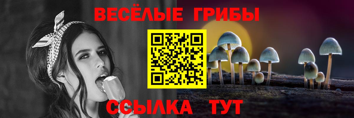 Псилоцибиновые грибы GOLDEN TEACHER Усинск